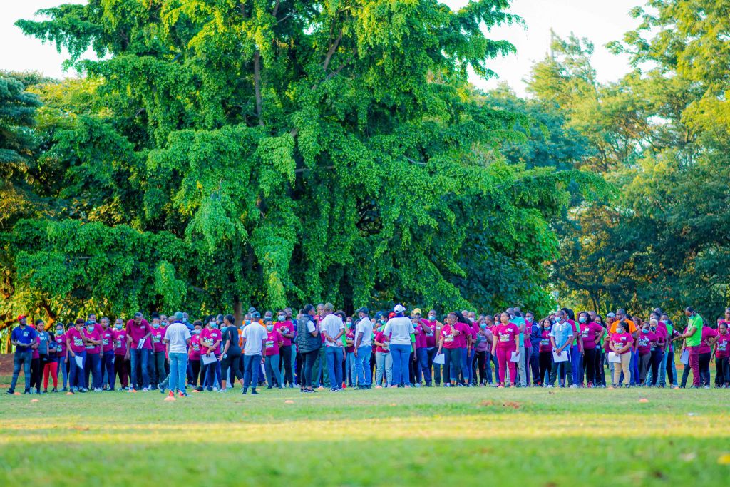 Large group conference