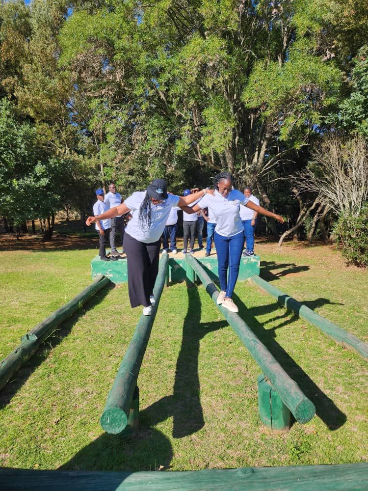 Balance beam activity